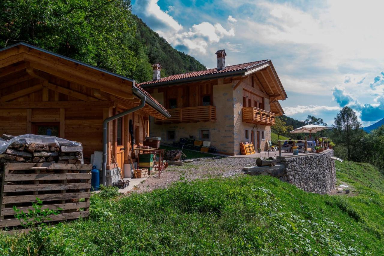 Agriturismo La Meta Pieve di Bono Dış mekan fotoğraf