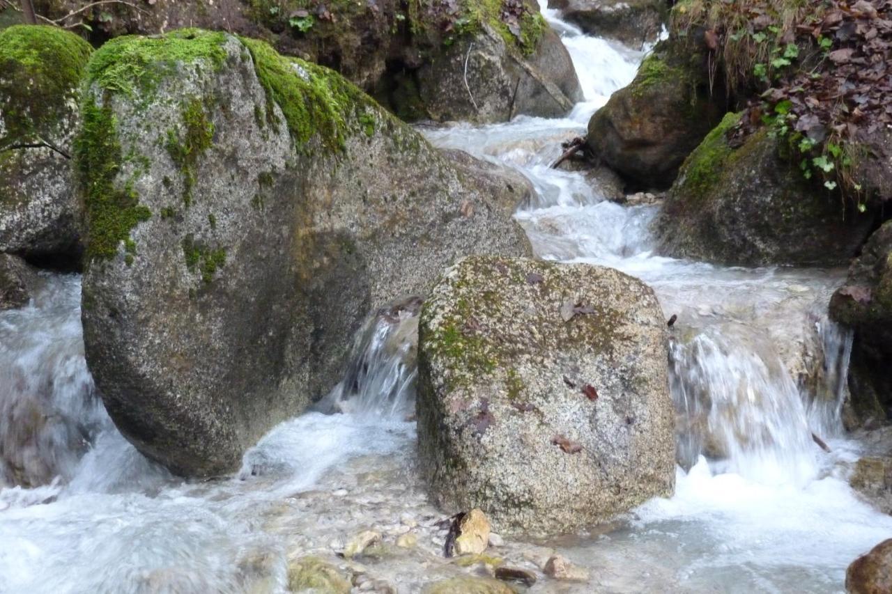 Agriturismo La Meta Pieve di Bono Dış mekan fotoğraf